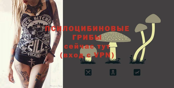 МДПВ Навашино