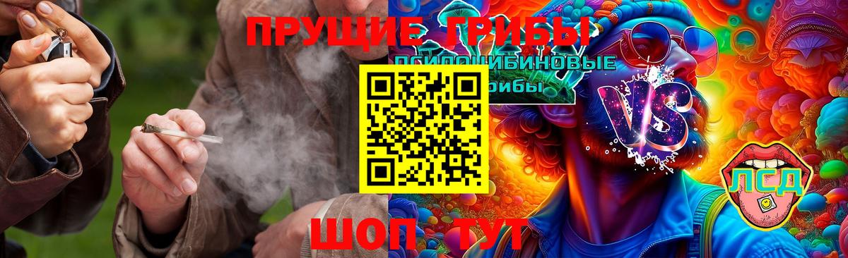 Подольск  Галлюциногенные грибы GOLDEN TEACHER  Вход с VPN  Галлюциногенные грибы Psilocybine cubensis 